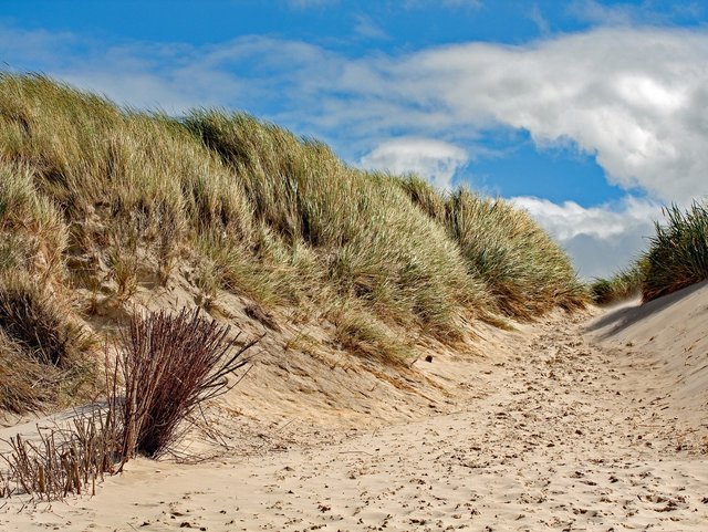 Nordseeshuttle